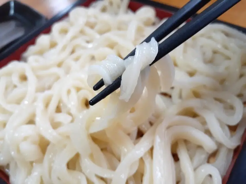 udon