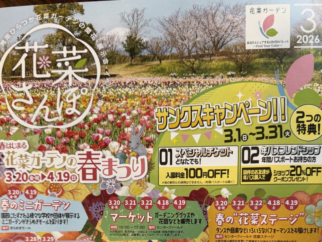 平塚市寺田縄花菜ガーデン