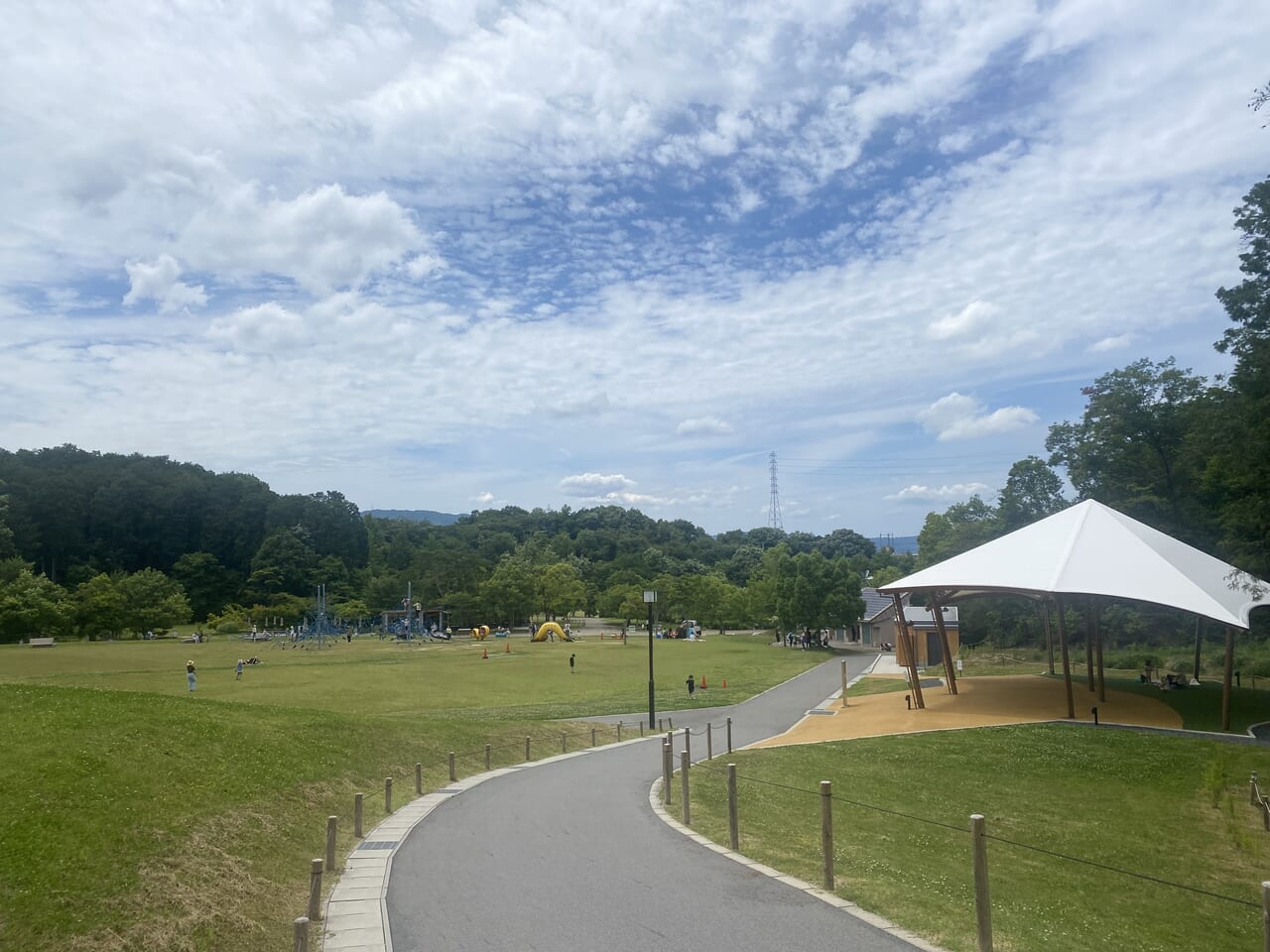 びわこ文化公園わんぱく原っぱ遠いアングル