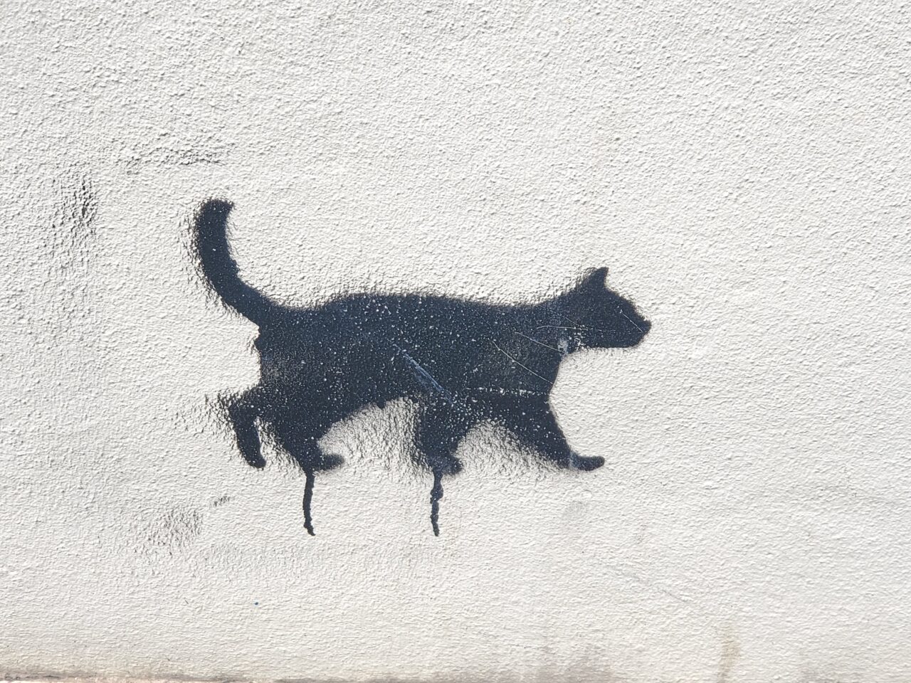 ネコ