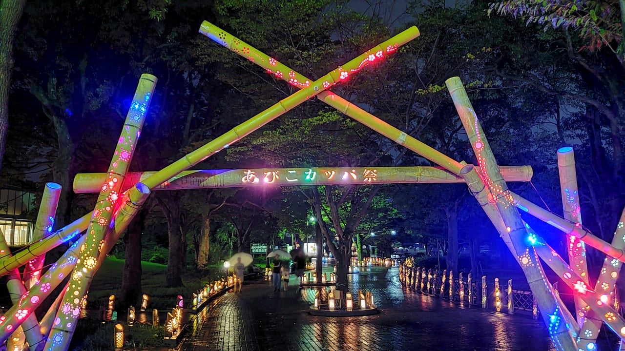 我孫子市 あびこカッパまつり 目前の手賀沼公園で 幻想的な光の竹灯籠に癒されませんか 号外net 我孫子市