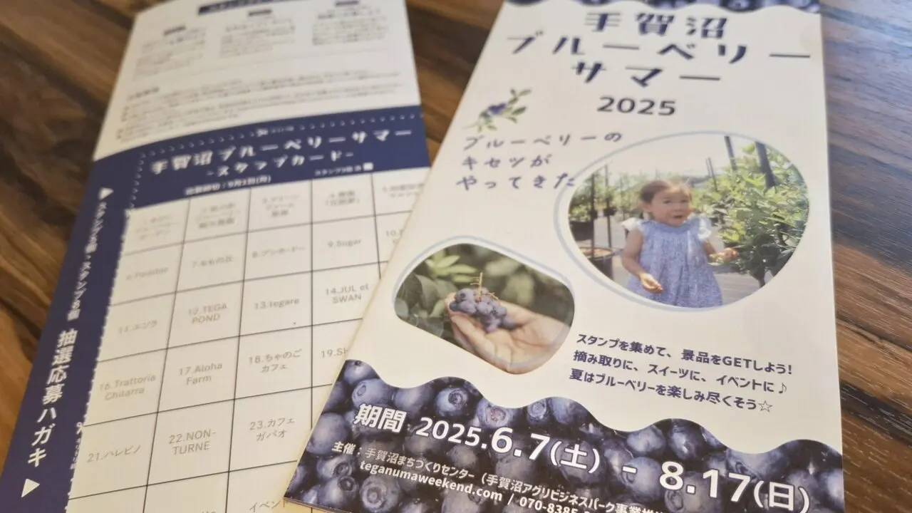 手賀沼ブルーベリーサマー2025