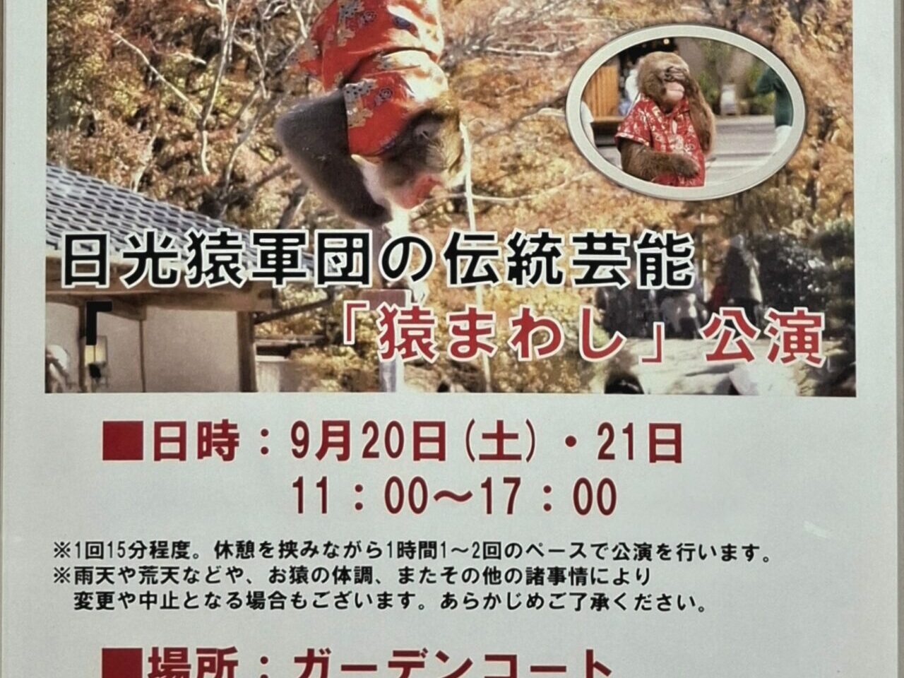 あびこショッピングプラザに日光猿軍団がやってくる！