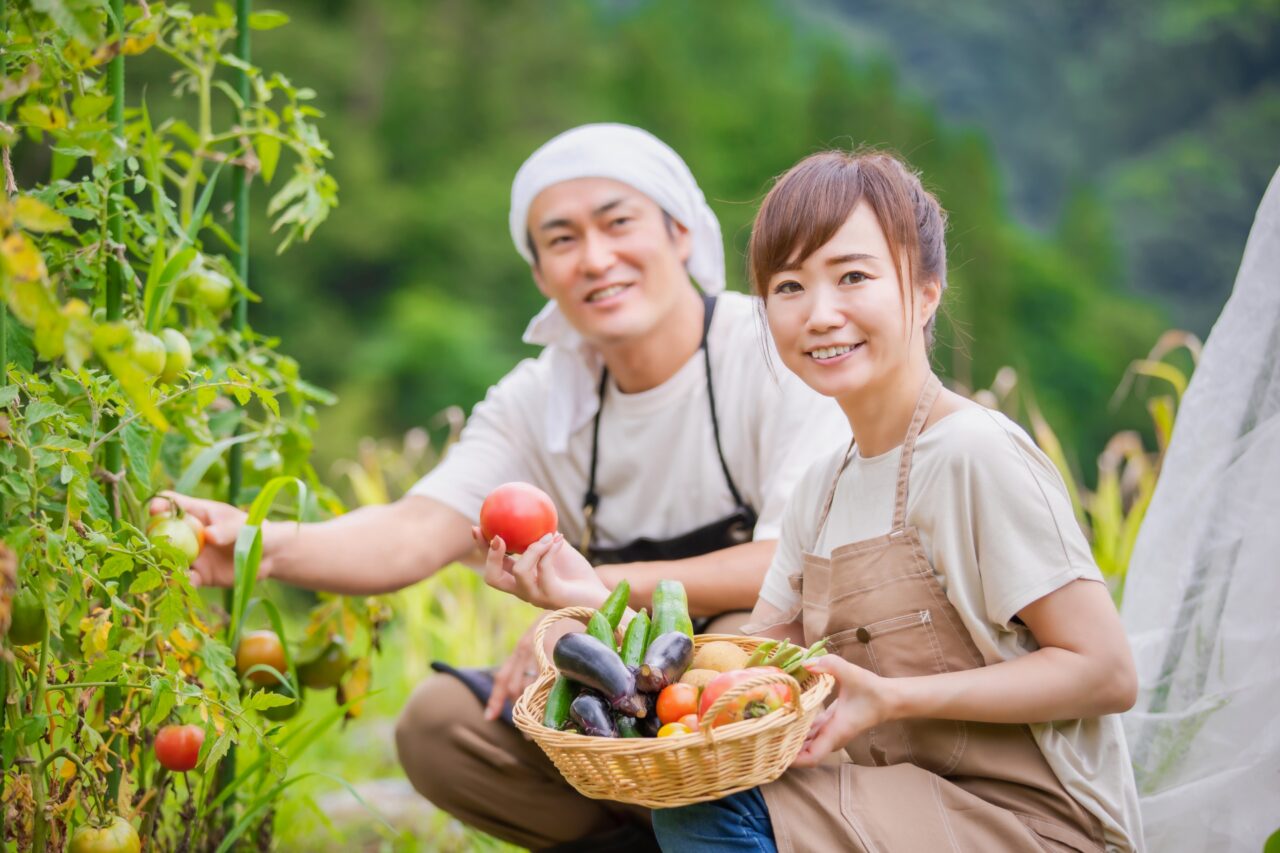 家庭菜園