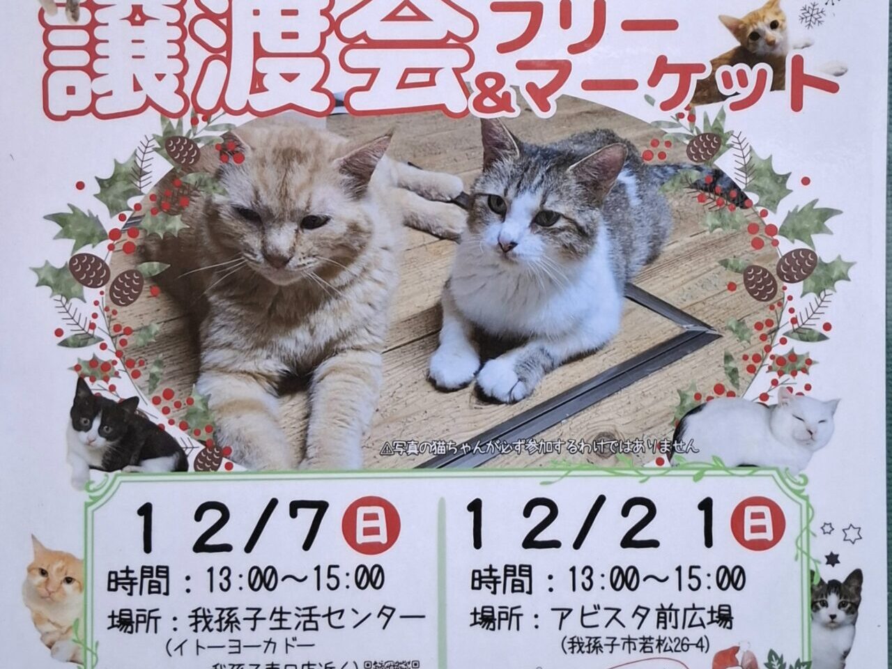 保護猫の譲渡会とフリーマケット