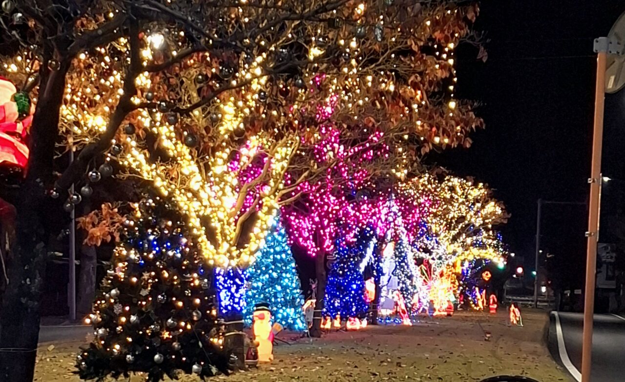 つくし野イルミネーション