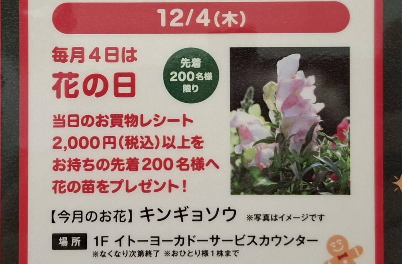 あびこショッピングプラザの花の日