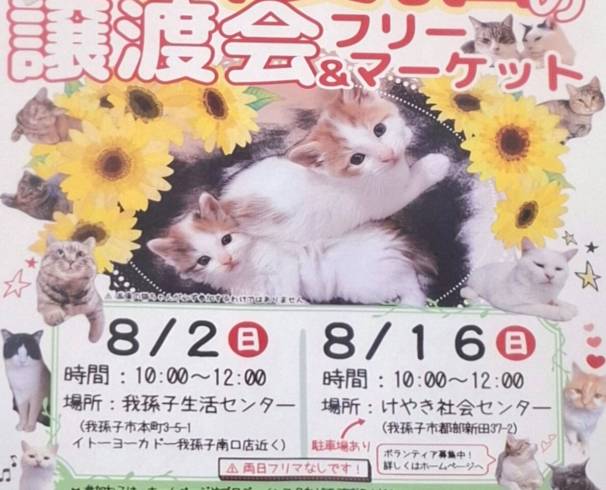 保護猫の譲渡会とフリーマーケット