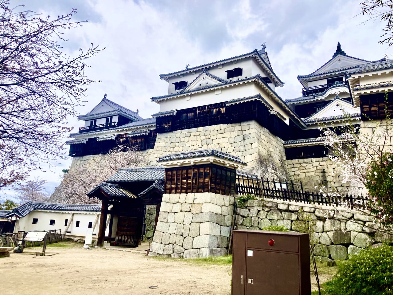 松山城の桜