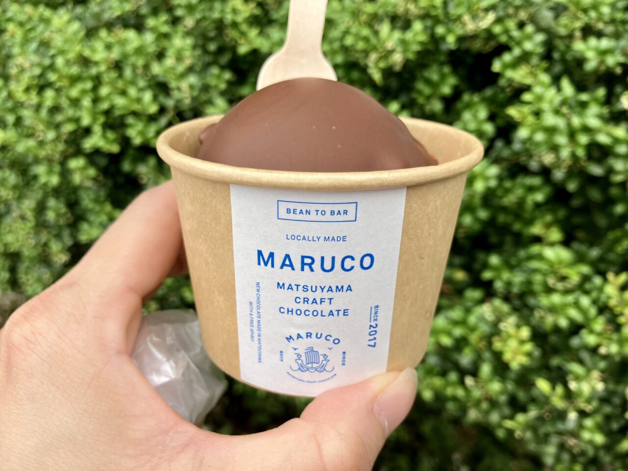 MARCOアイス