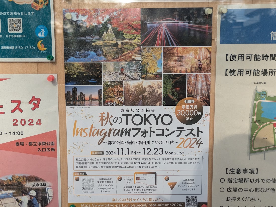 秋のTOKYO Instagram　フォトコンテストポスター