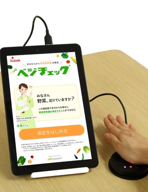 板ベジチャレンジ