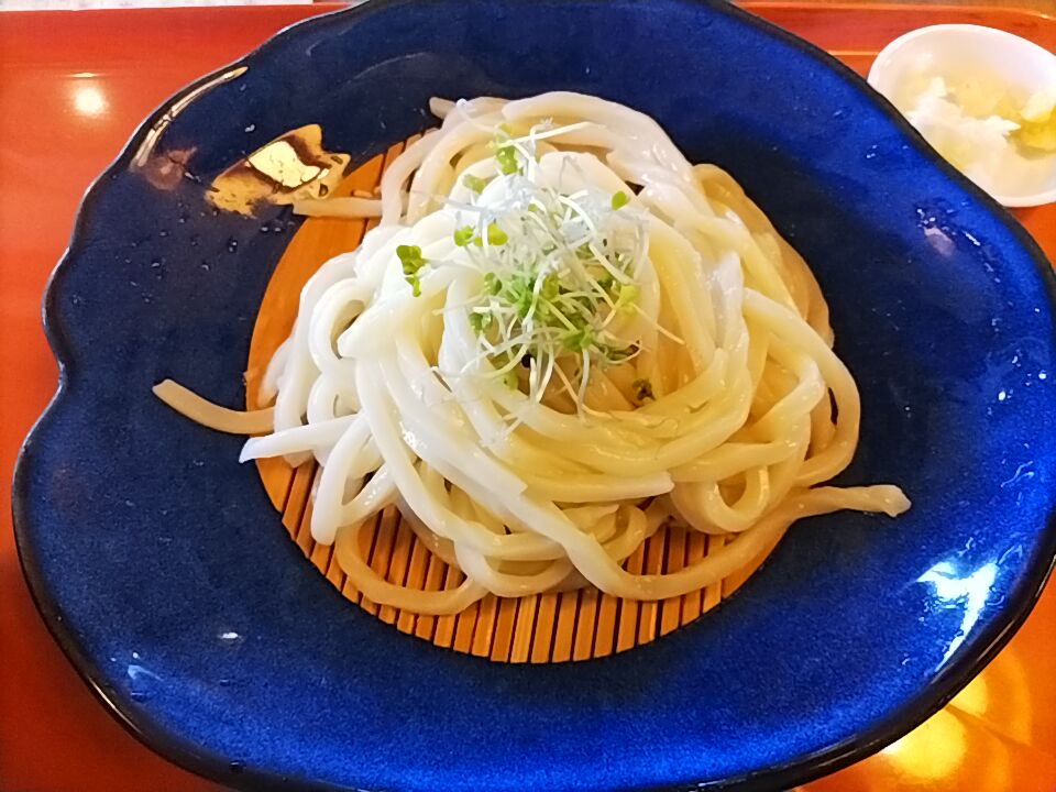 2025年流山街道竜禅