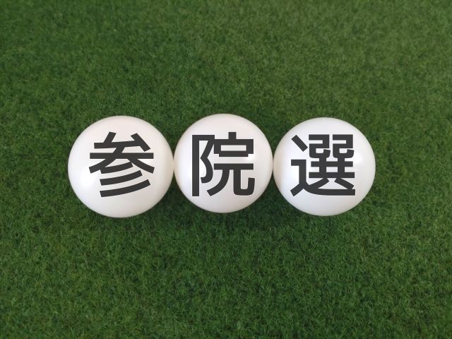 2025年参議院選挙