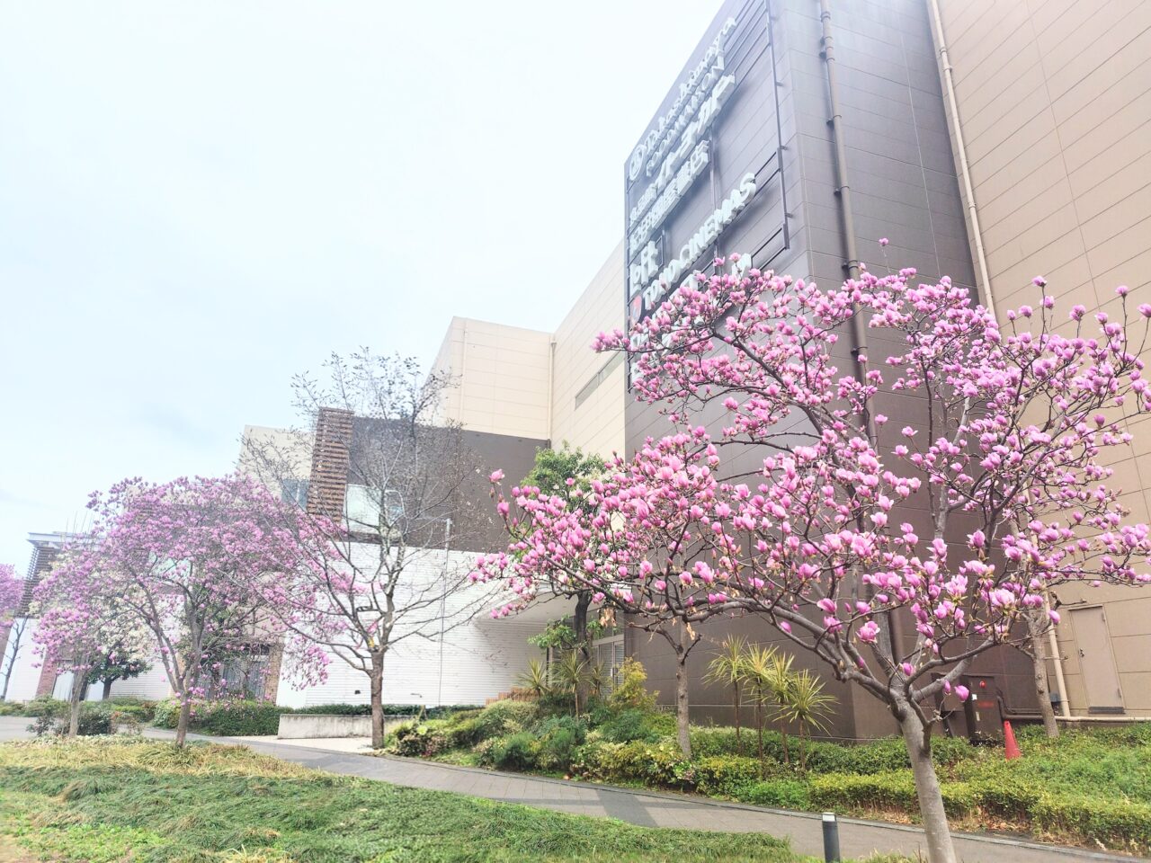 2026年流山おおたかの森S.C.