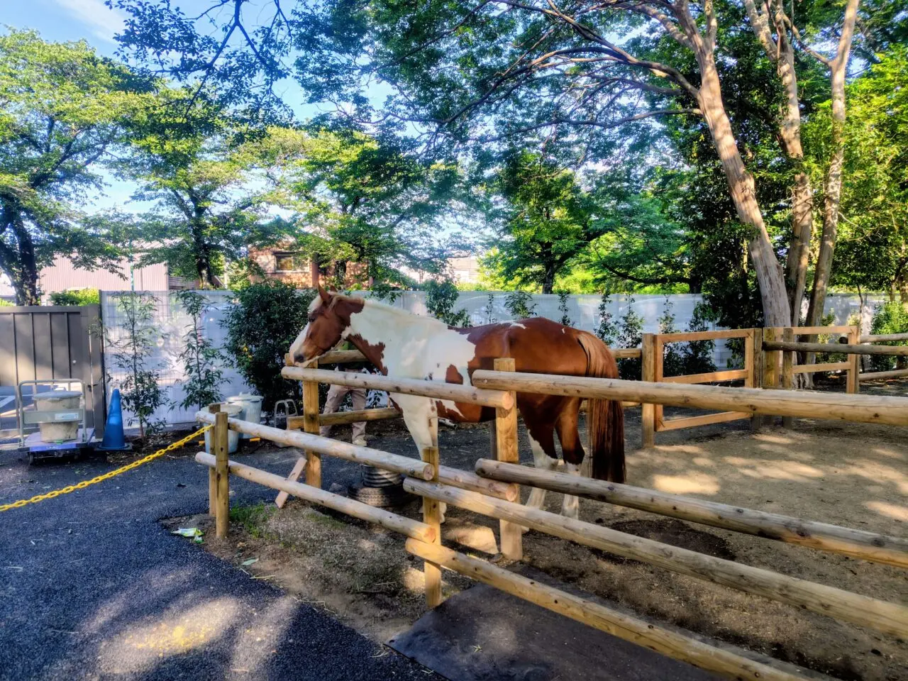 2026年清水公園ポニー牧場