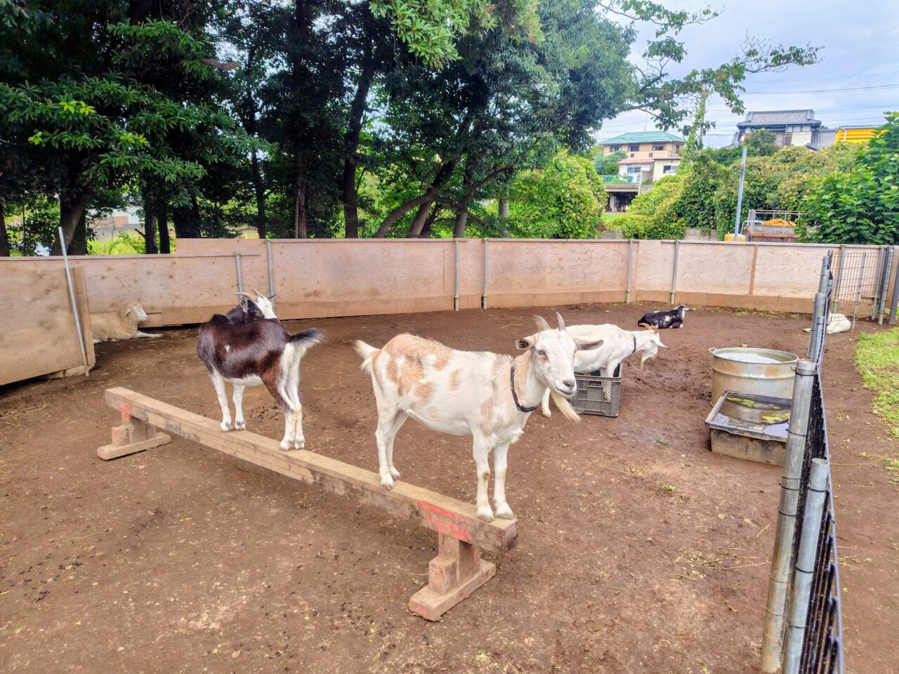 2026年まちの動物園
