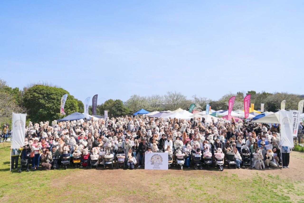江東区で開催予定のドッグイベント