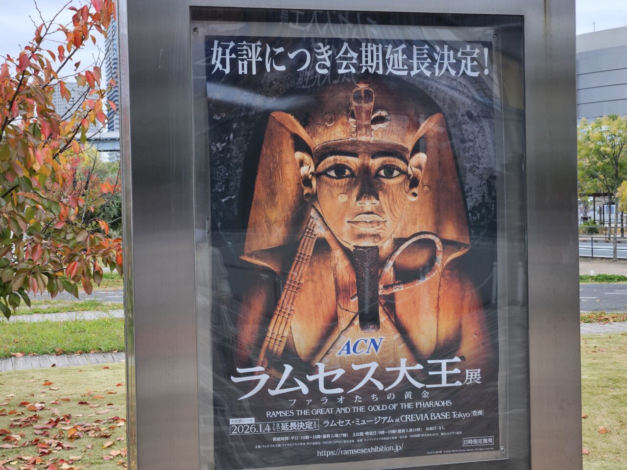 ラムセス大王展が会期延長中