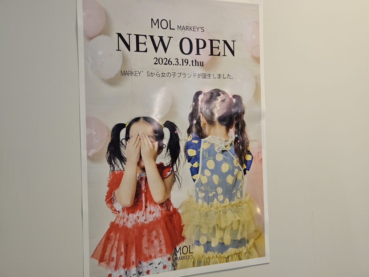 MOL MARKEY'Sがららぽーと豊洲にオープン予定