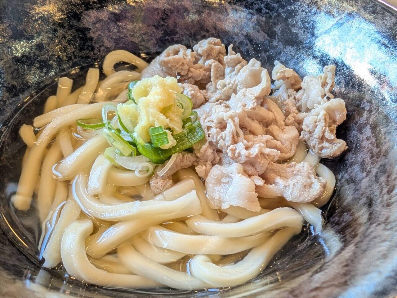 讃岐うどん飩饂