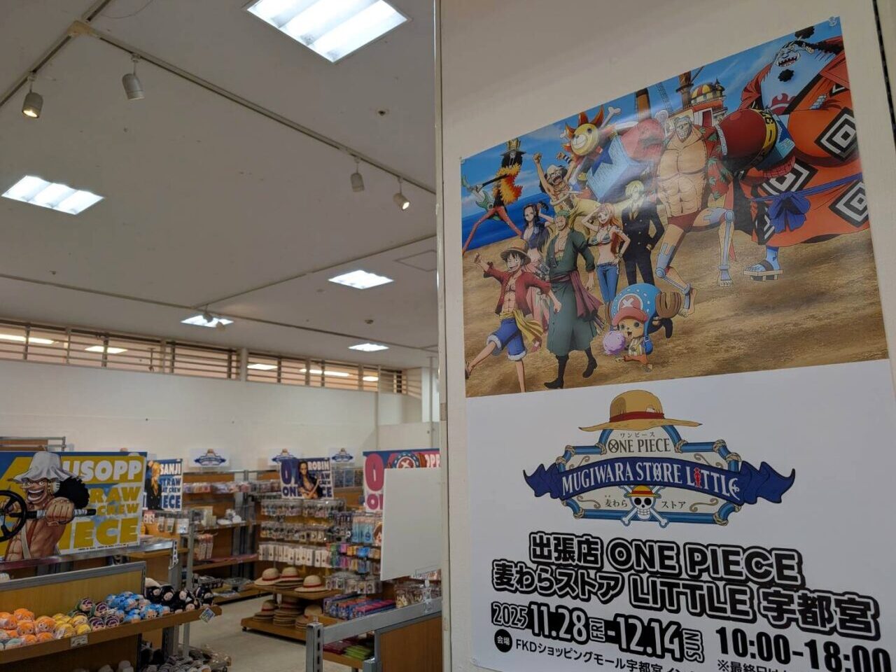 ワンピースショップ