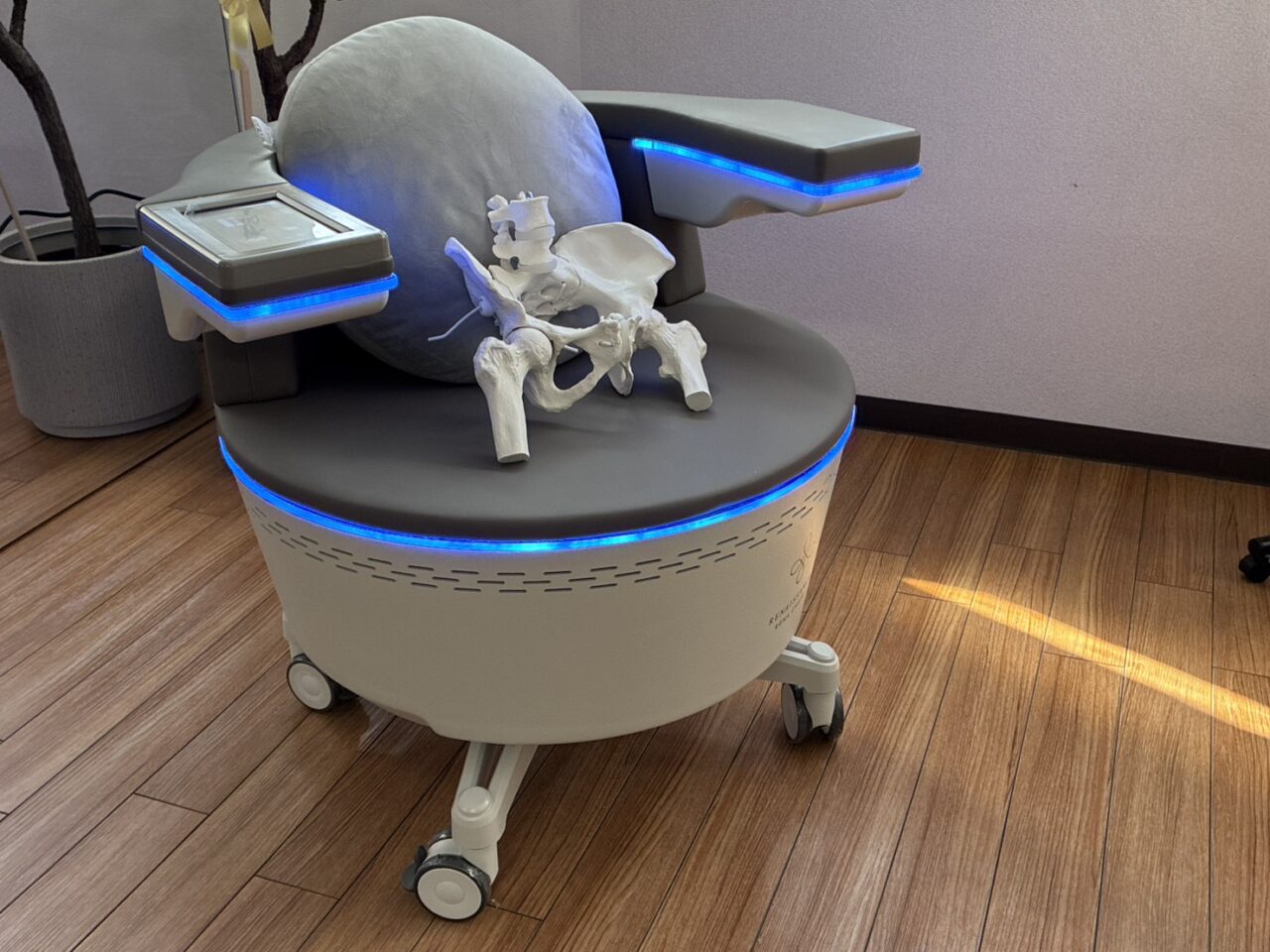 リペルビスラボ