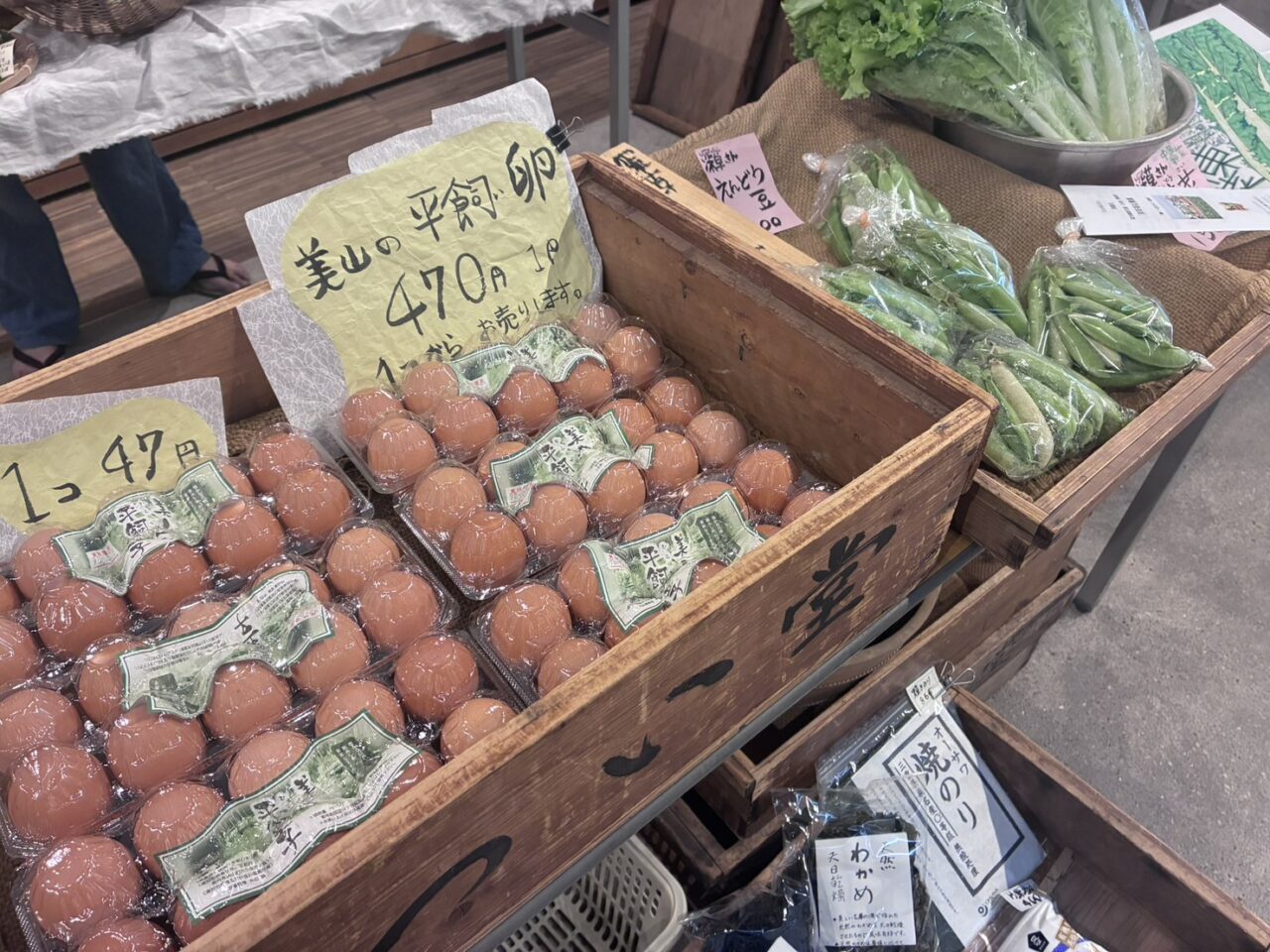 伏見わっか市