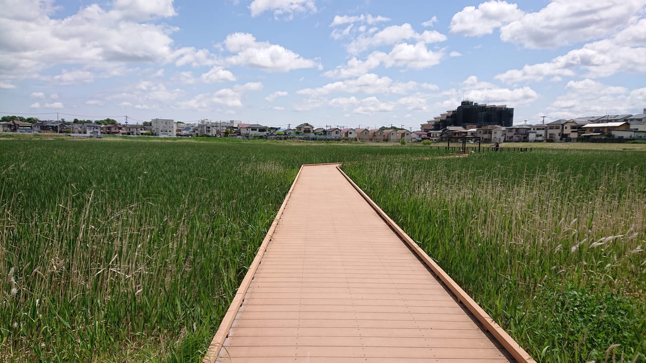 国分川調節池緑地