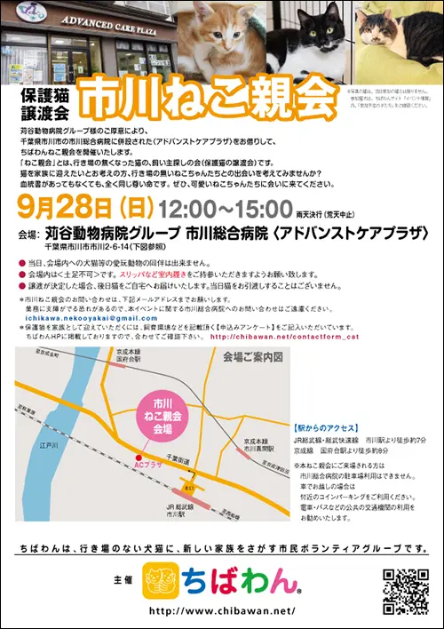 市川ねこ親会ポスター