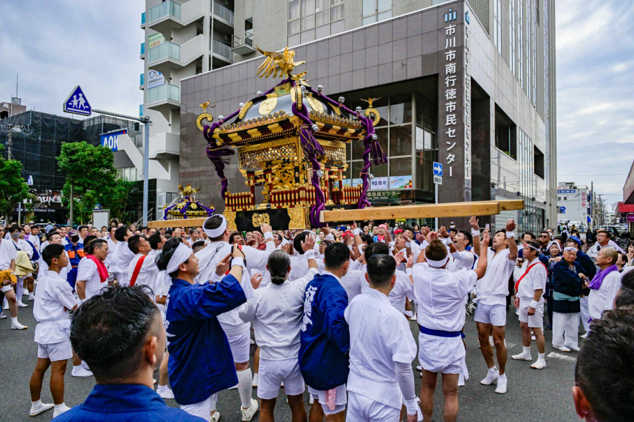 行徳まつり神輿