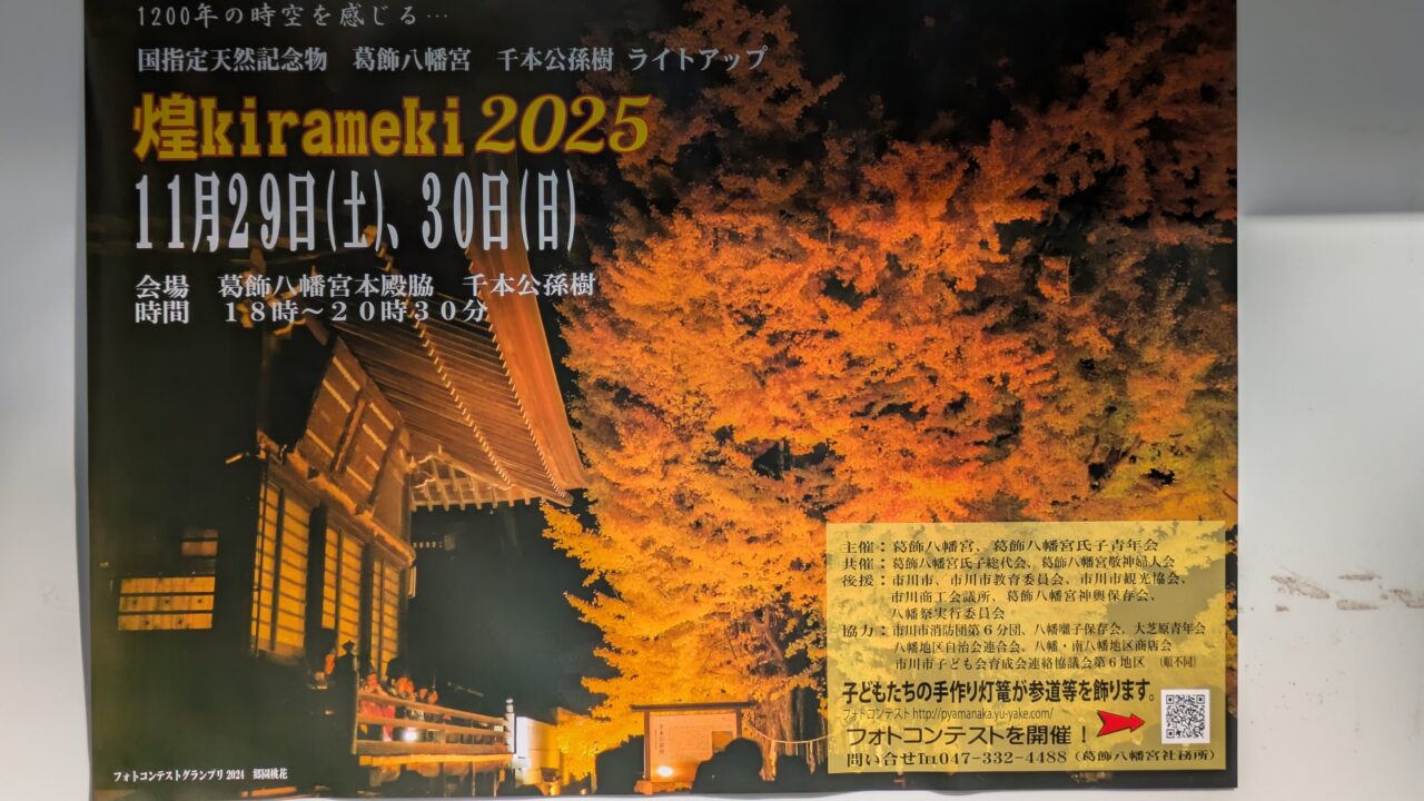 千本公孫樹ライトアップ