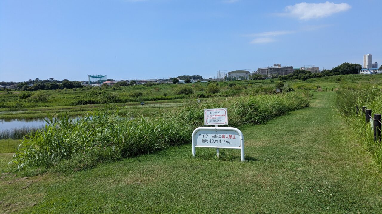 大柏ビジターセンターの緑地