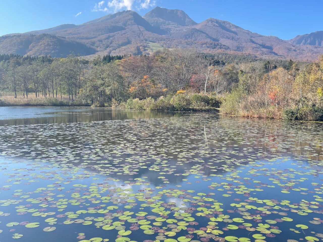 いもり池の紅葉