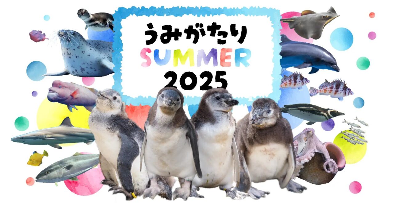 うみがたりSUMMER 2025