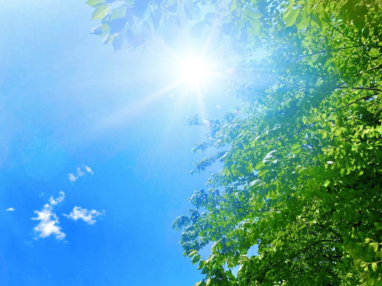 梅雨明けイメージ