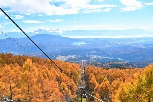 妙高杉ノ原ゴンドラ紅葉営業