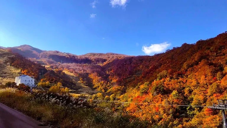 ロッテアライリゾートの紅葉ゴンドラ運行