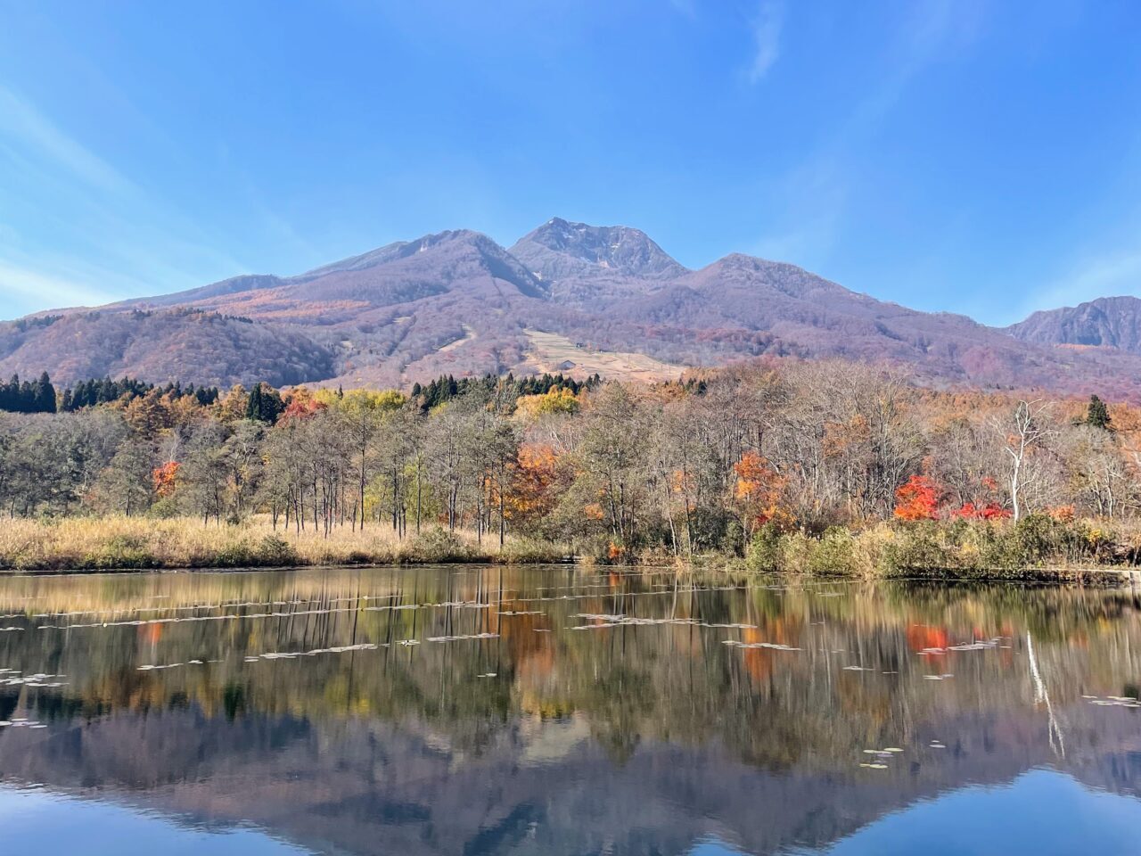 いもり池周辺の紅葉