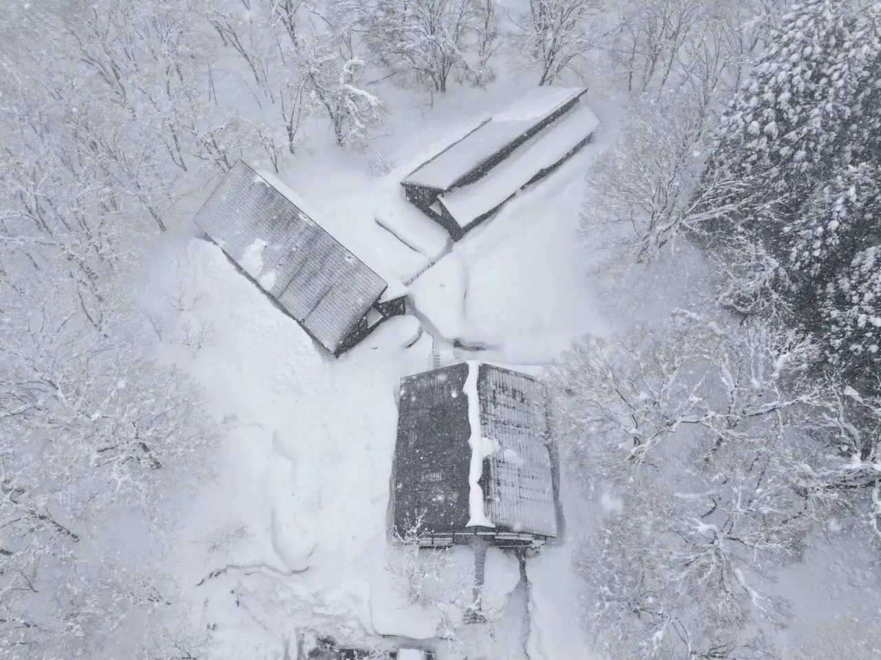 サウナイン新潟妙高高原