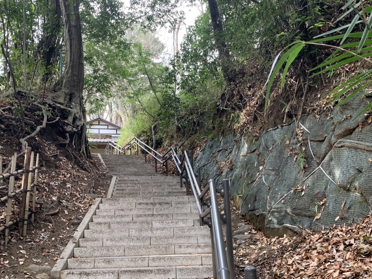 深山茶屋へ抜ける道。