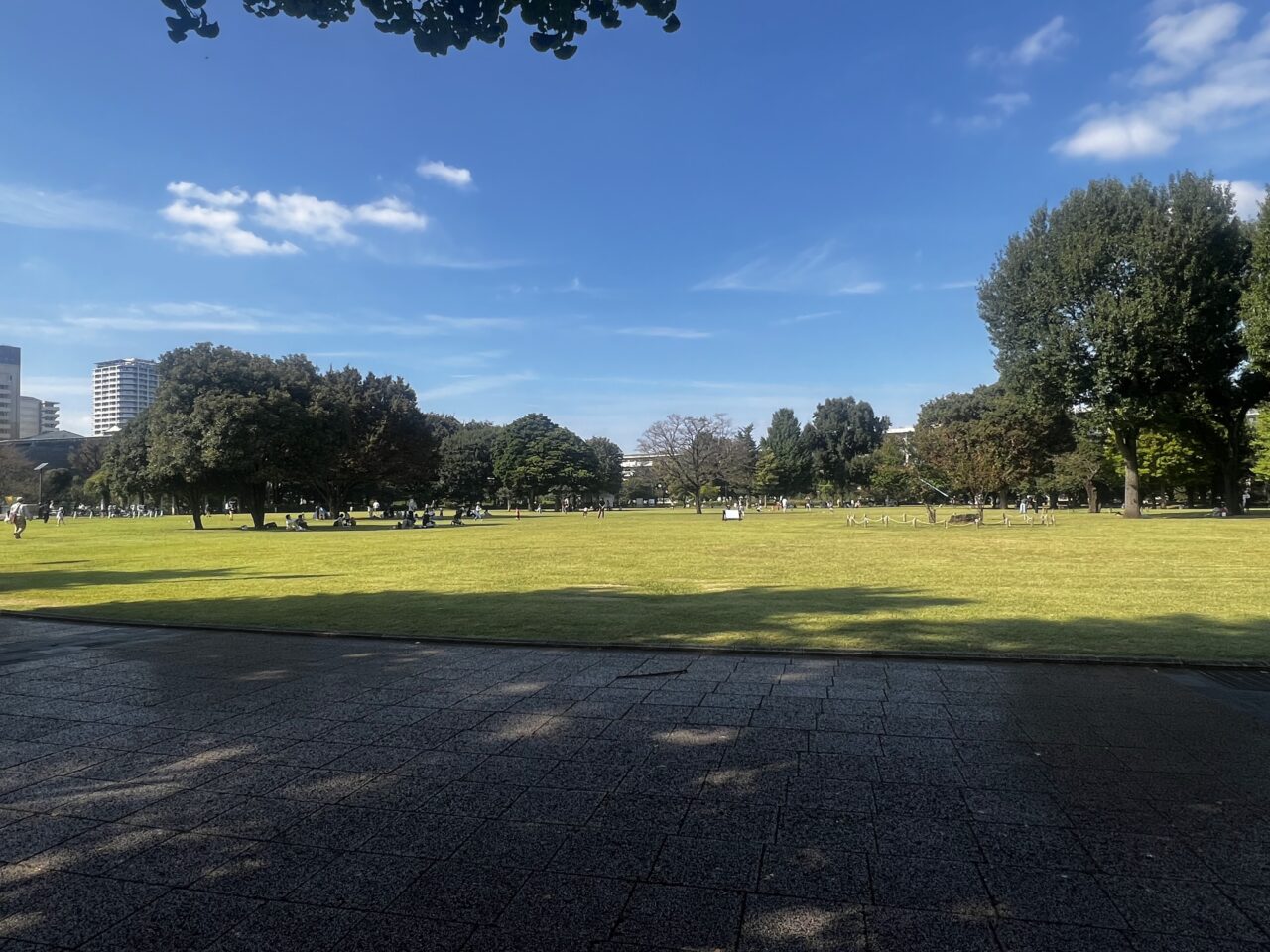 都立武蔵国分寺公園