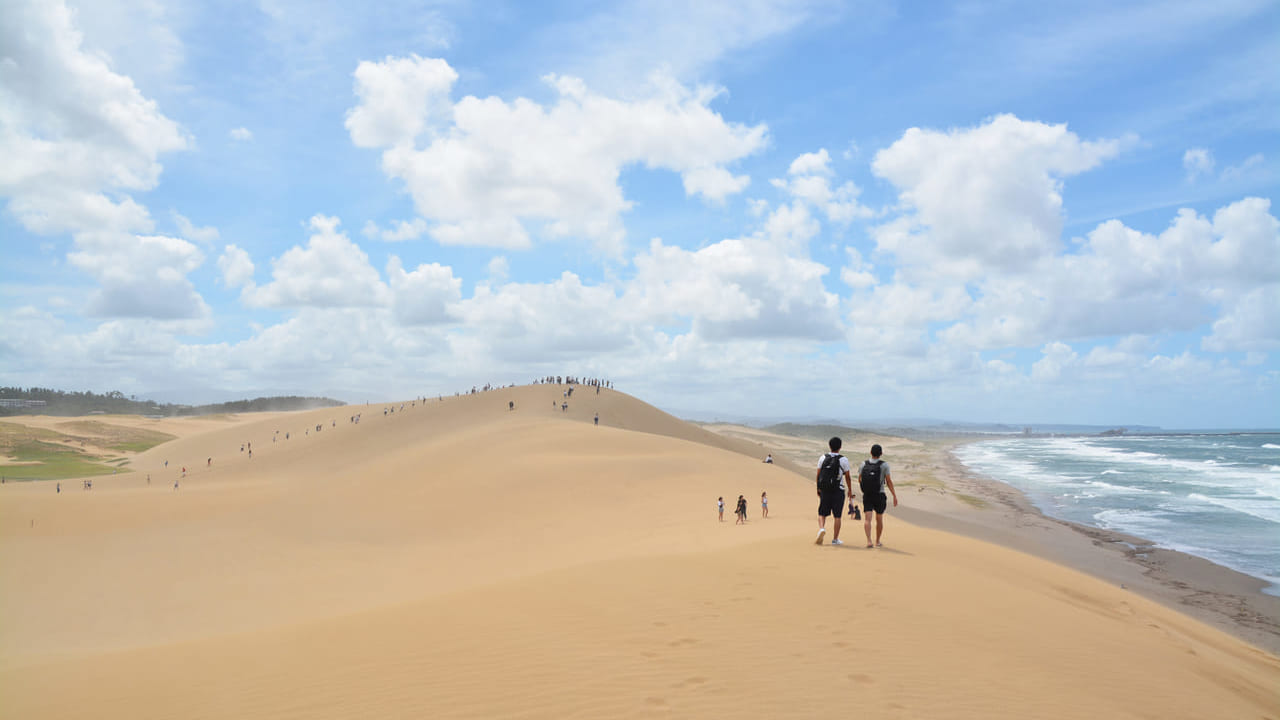 馬の背を歩く人