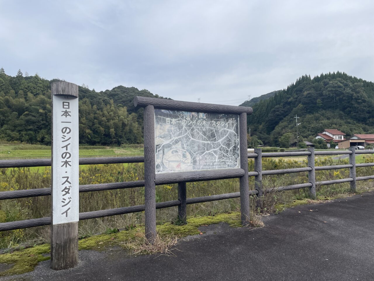 志多備神社