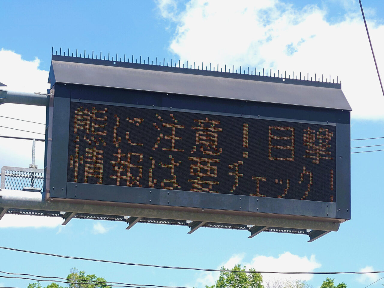 クマに注意