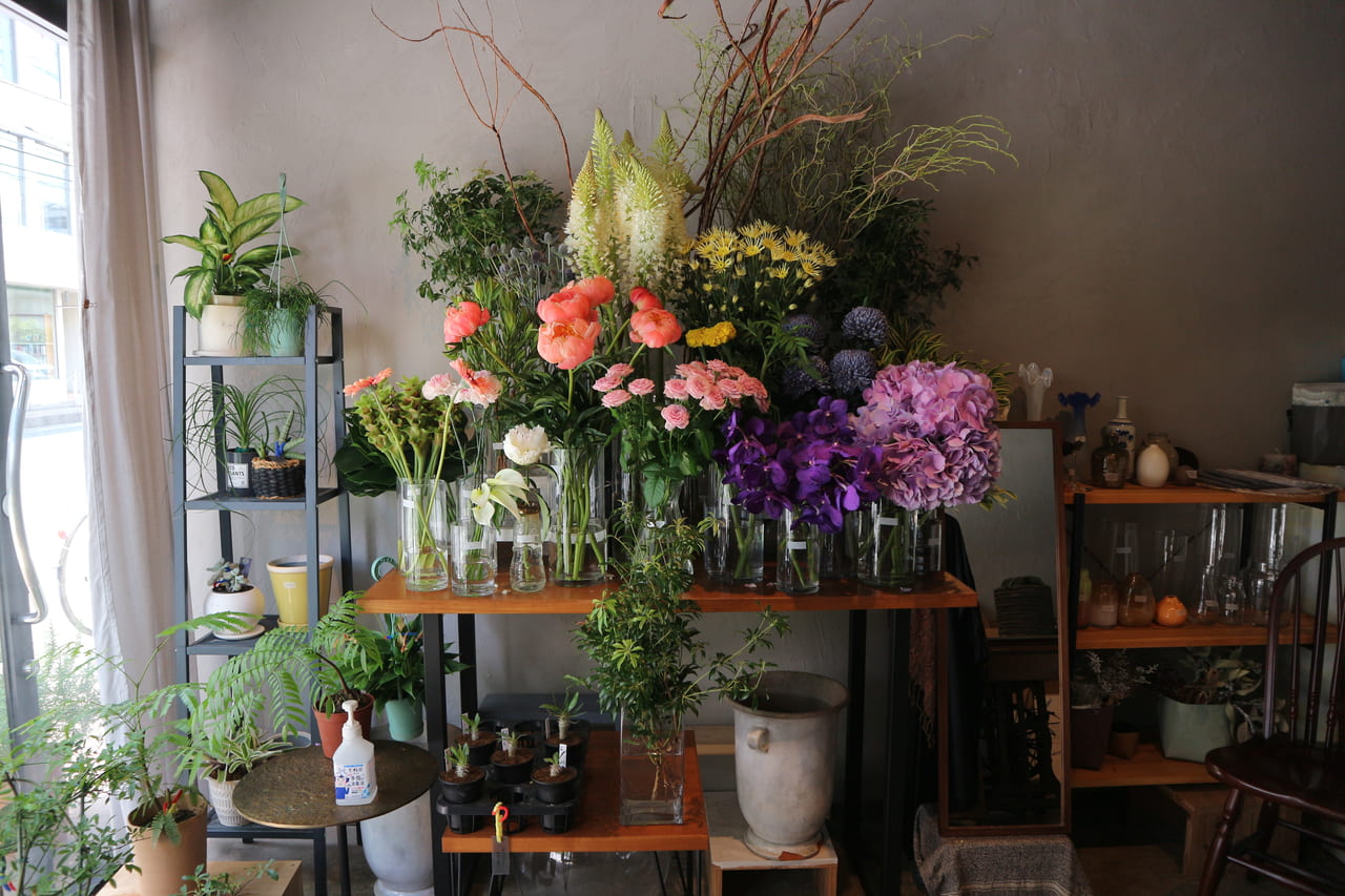 松戸市 センス抜群 生花と衣服のお店 おかやま生花店 には素敵な観葉植物やドライフラワーもありますよ 号外net 松戸市