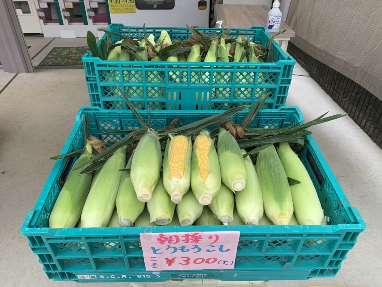松戸市二十世紀が丘のフレッシュボックスぱんぷきん