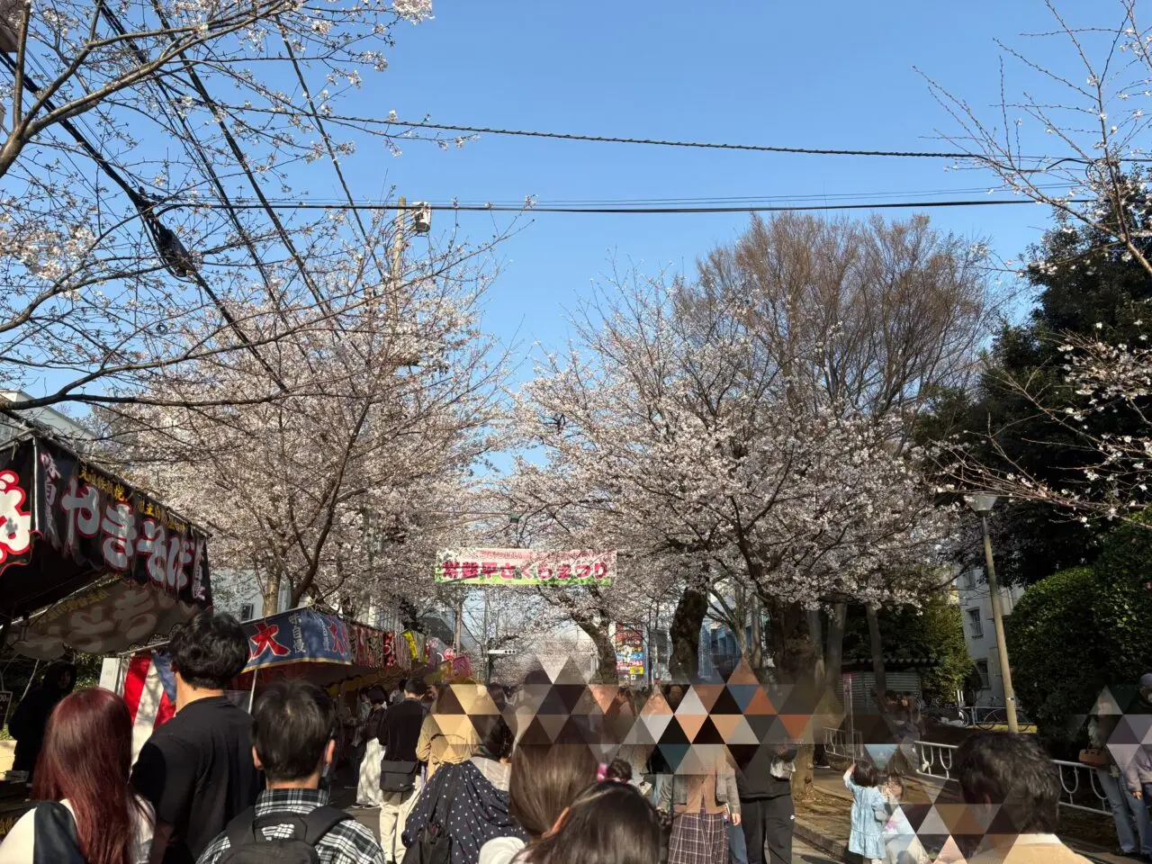 常盤平桜祭り