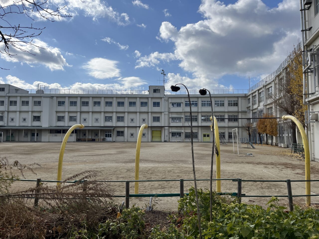 Amazon.co.jp: 実践個を育てる力: 静岡市立安東小筑地学級の授業