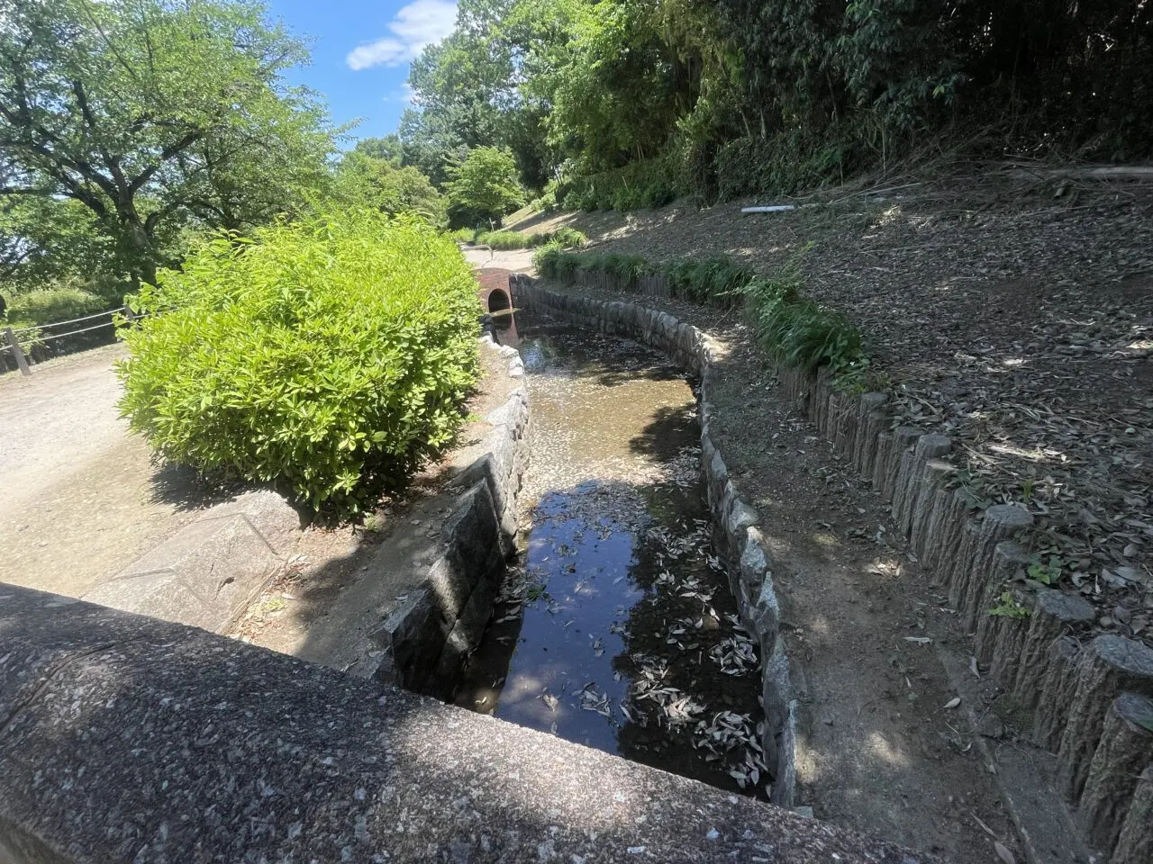 山崎公園